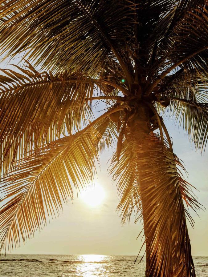 Seaside Inn Roatan Уест Бей Екстериор снимка